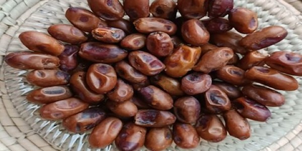 تصویر 2 از خرید و فروش خرمای استعمران درجه یک با شرایط فوق العاده